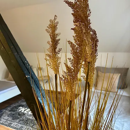 148qm Apartment, Naehe Duesseldorf, 4 Schlafzimmer, Privater Parkplatz Apartment *