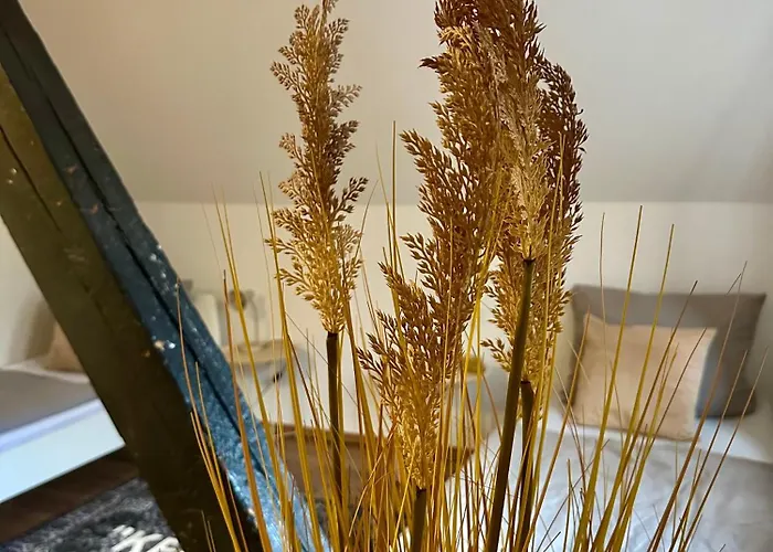 148qm Apartment, Naehe Duesseldorf, 4 Schlafzimmer, Privater Parkplatz Apartment *